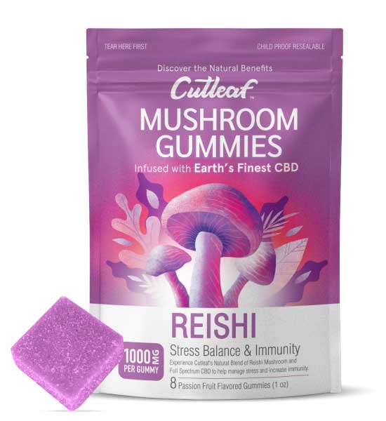  Reishi - Cutleaf Mushroom Gummies 