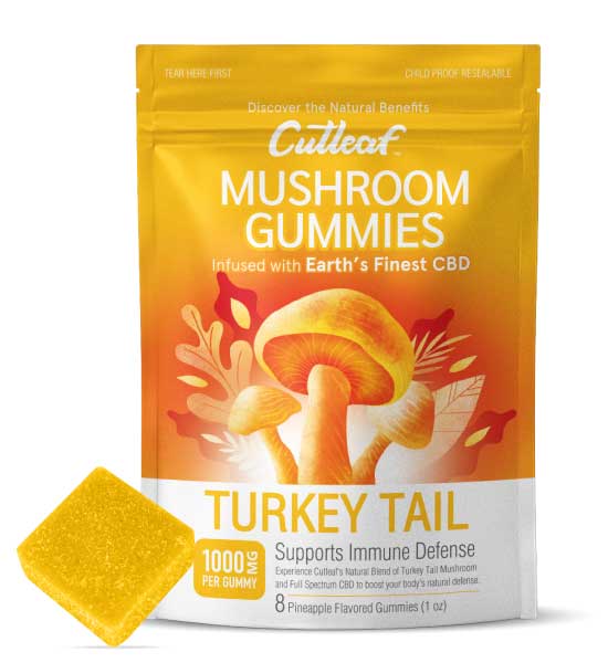  Turkey Tail - Cutleaf Mushroom Gummies 